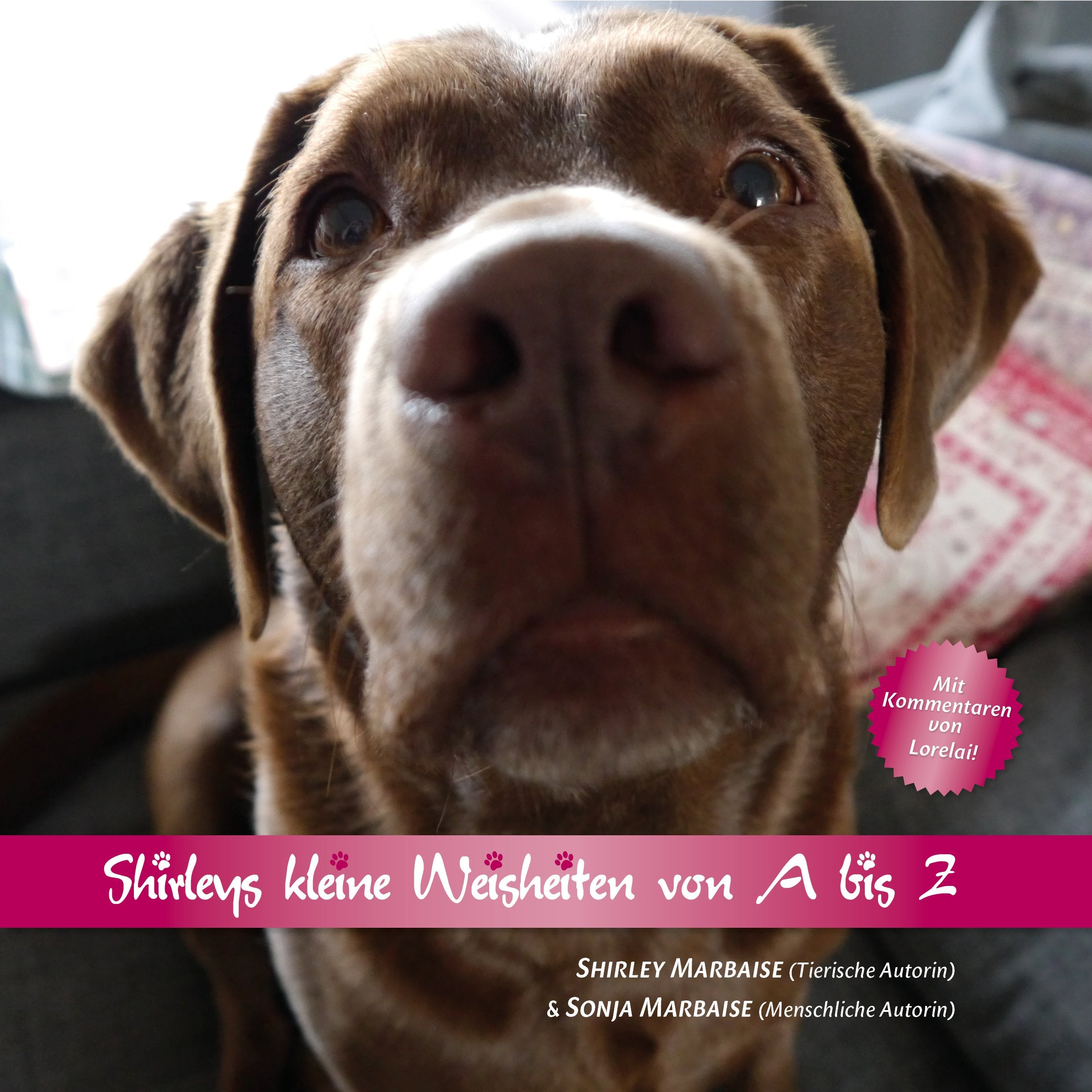 Shirleys kleine Weisheiten von A bis Z Books
