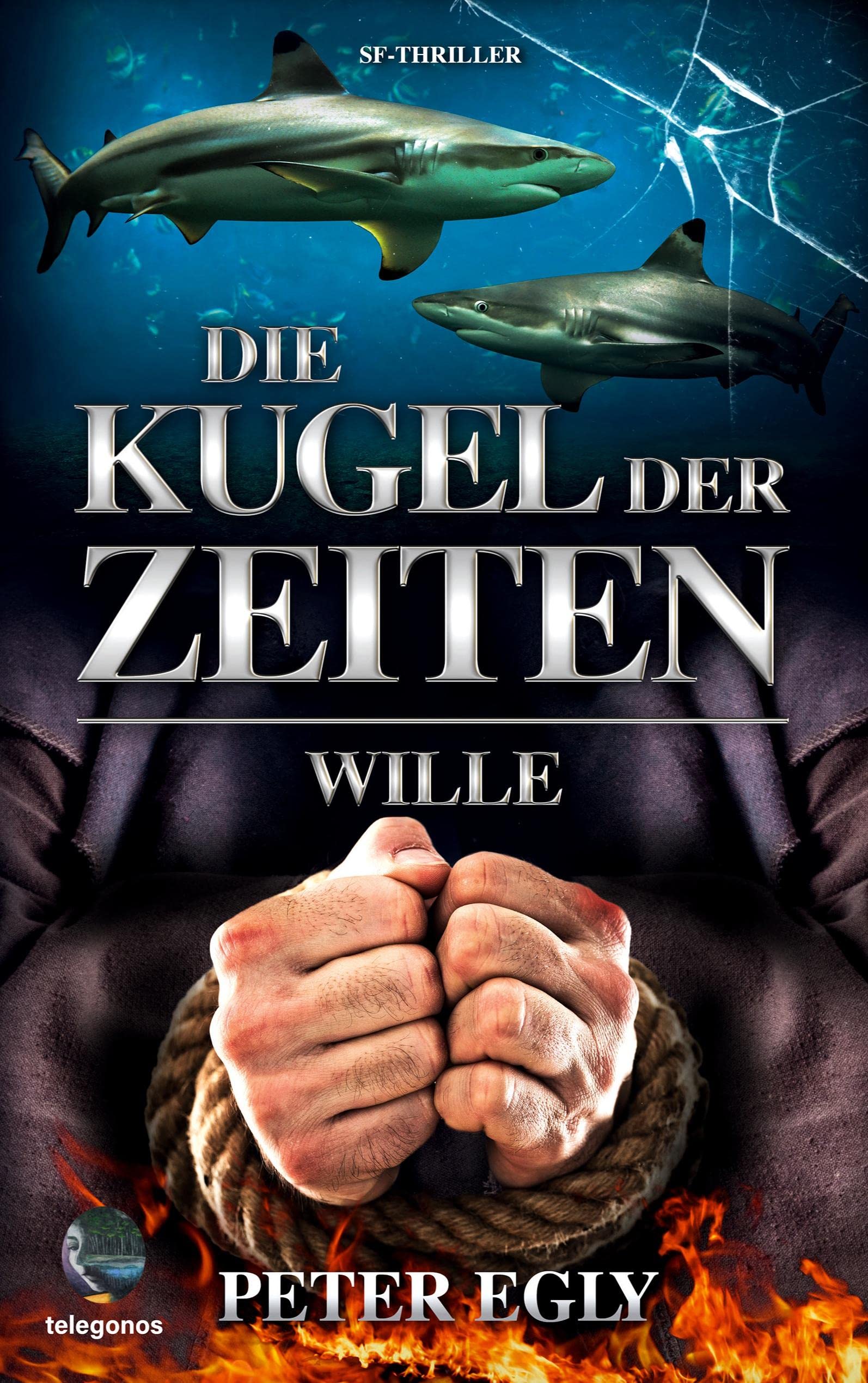 Die Kugel der Zeiten: Wille Social Sciences