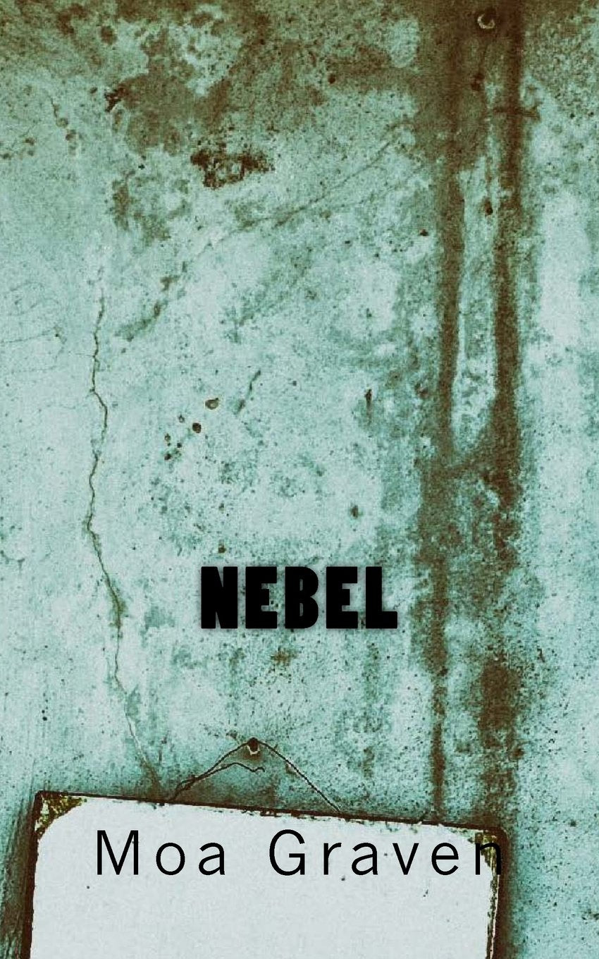 Nebel: Frieslandkrimi (Joachim Stein in Friesland, Band 3) Contemporary literature