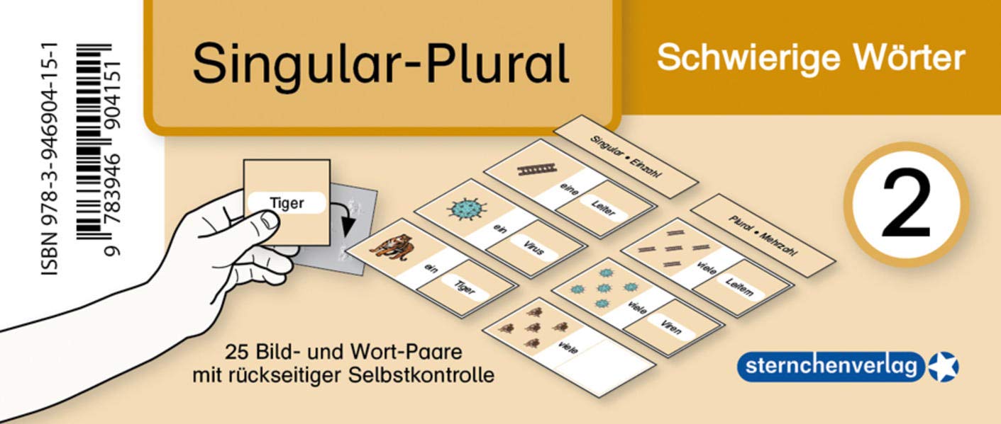 Meine Grammatikdose 2 - Singular-Plural - Schwierige Wörter book
