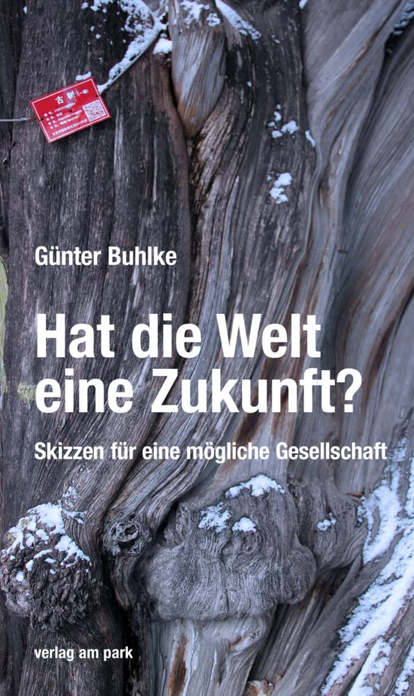 Hat die Welt eine Zukunft?: Skizzen für eine mögliche Gesellschaft (verlag am park) Politics & History