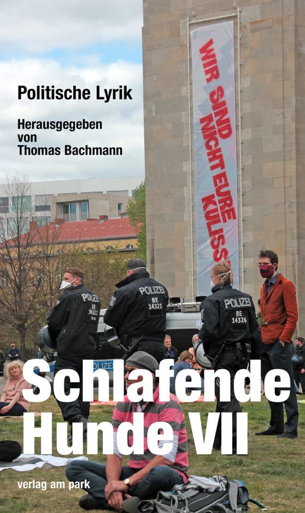 Product Image: Schlafende Hunde VII