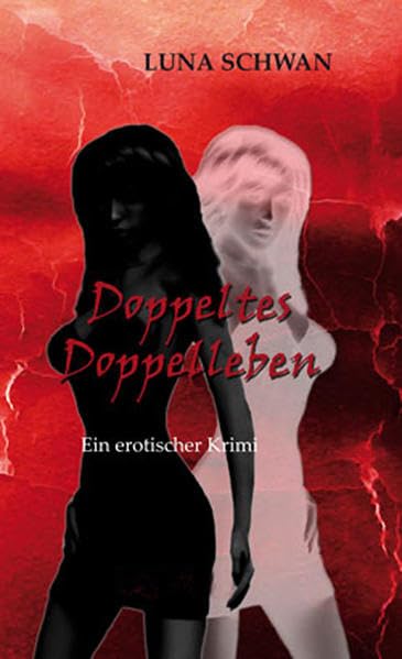 Doppeltes Doppelleben Fiction Books