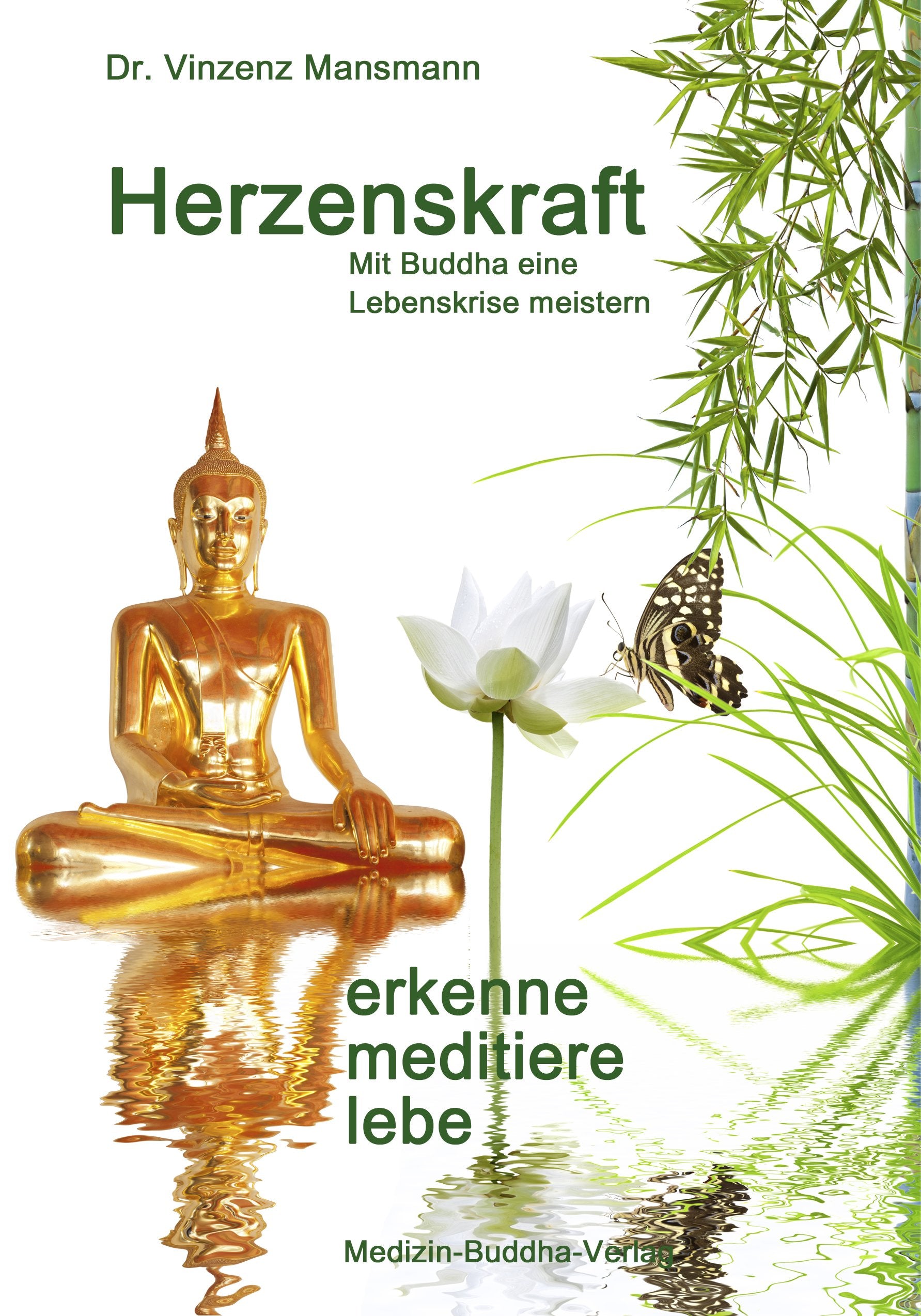 Herzenskraft - erkenne, meditiere, lebe: Mit Buddha eine Lebenskrise meistern Religion & Esotericism