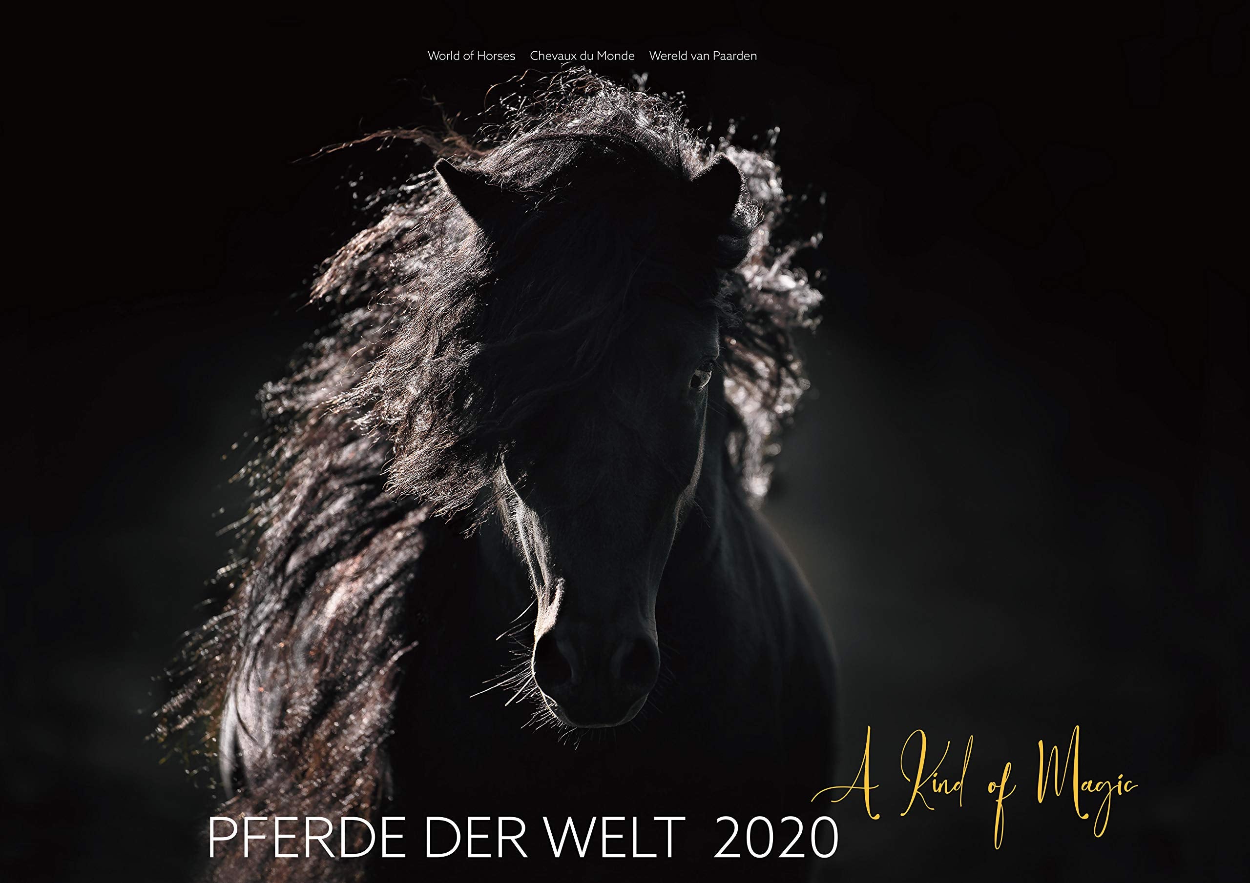 PFERDE DER WELT 2020 - A Kind of Magic: Anmut Faszination und Magie der Pferde, Monatskalender, DIN A2 quer, 15 Seiten mit Beschreibung book