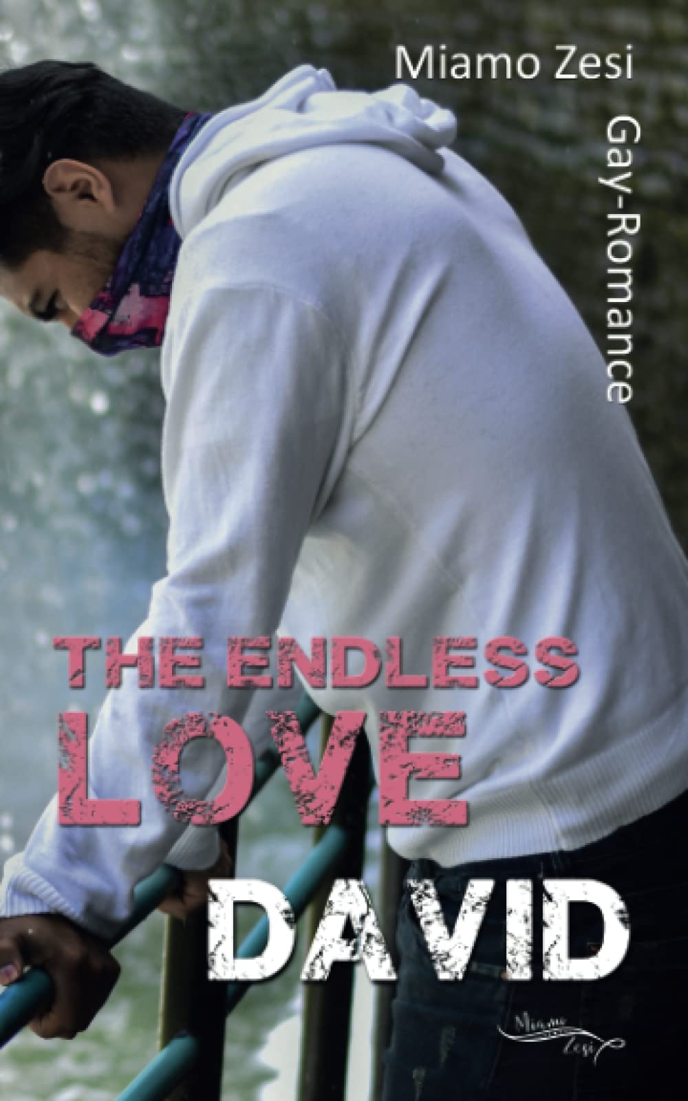 Product Image: David: The endless love
