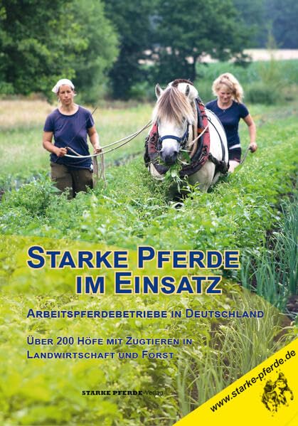 Starke Pferde im Einsatz: Arbeitspferdebetriebe in Deutschland Medicine