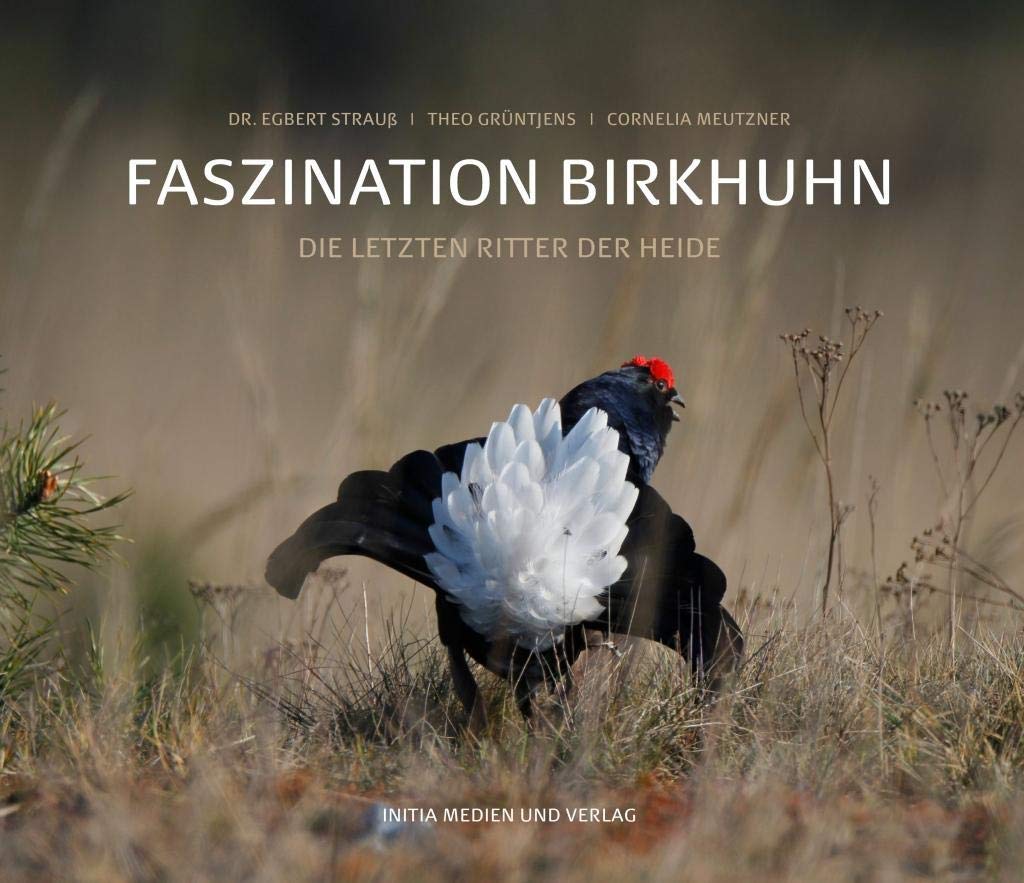 Product Image: Faszination Birkhuhn