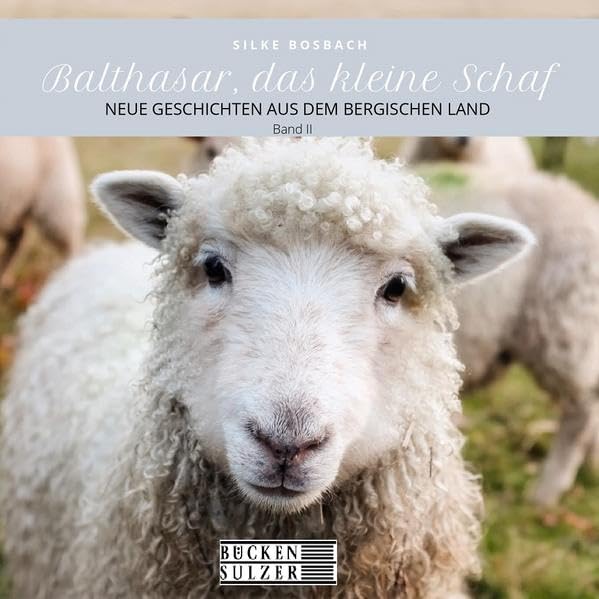 Product Image: Balthasar, das kleine Schaf