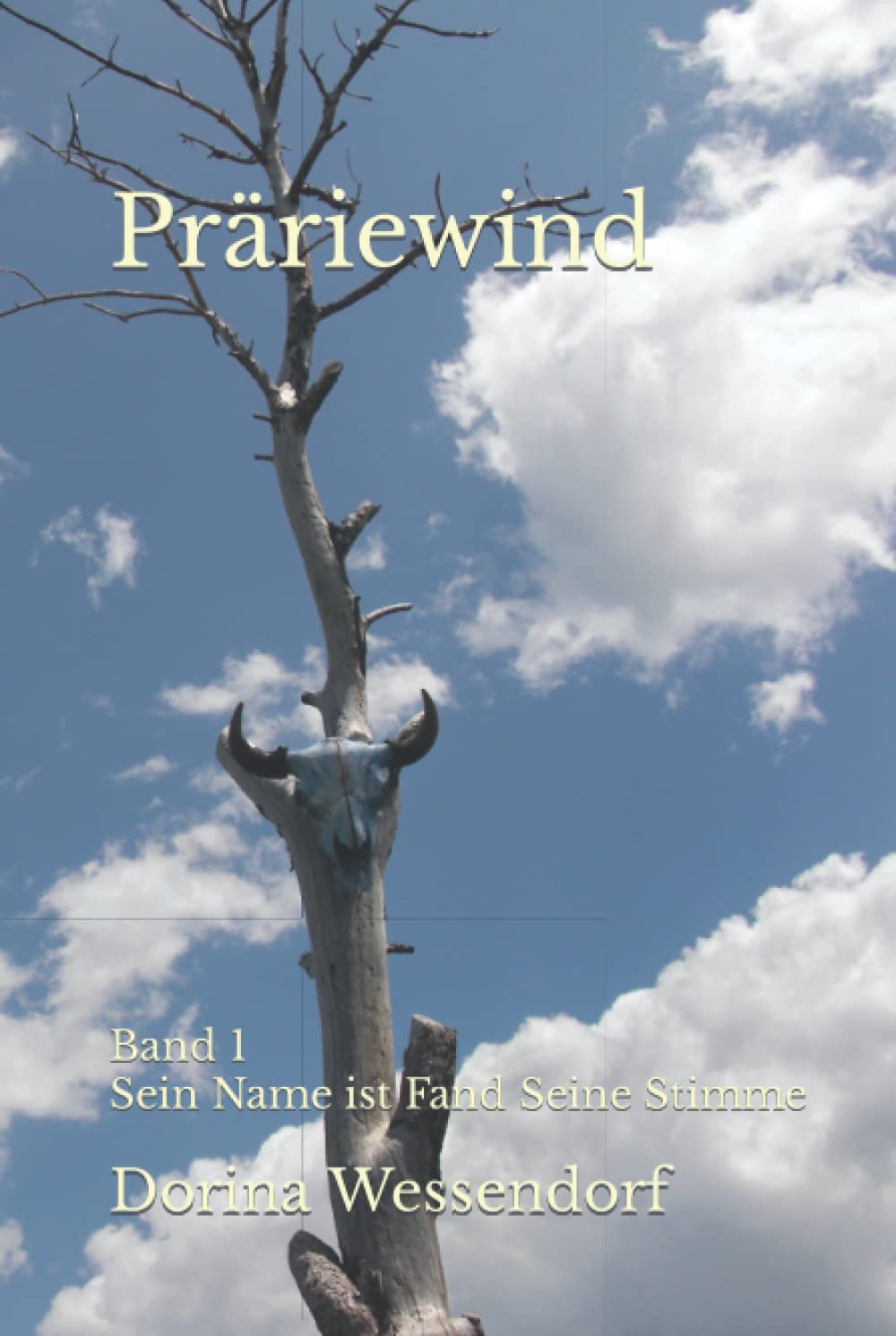 Präriewind: Band 1 Sein Name ist Fand Seine Stimme: Sein Name ist Fand Seine Stimme - Band 1 Historical Fiction