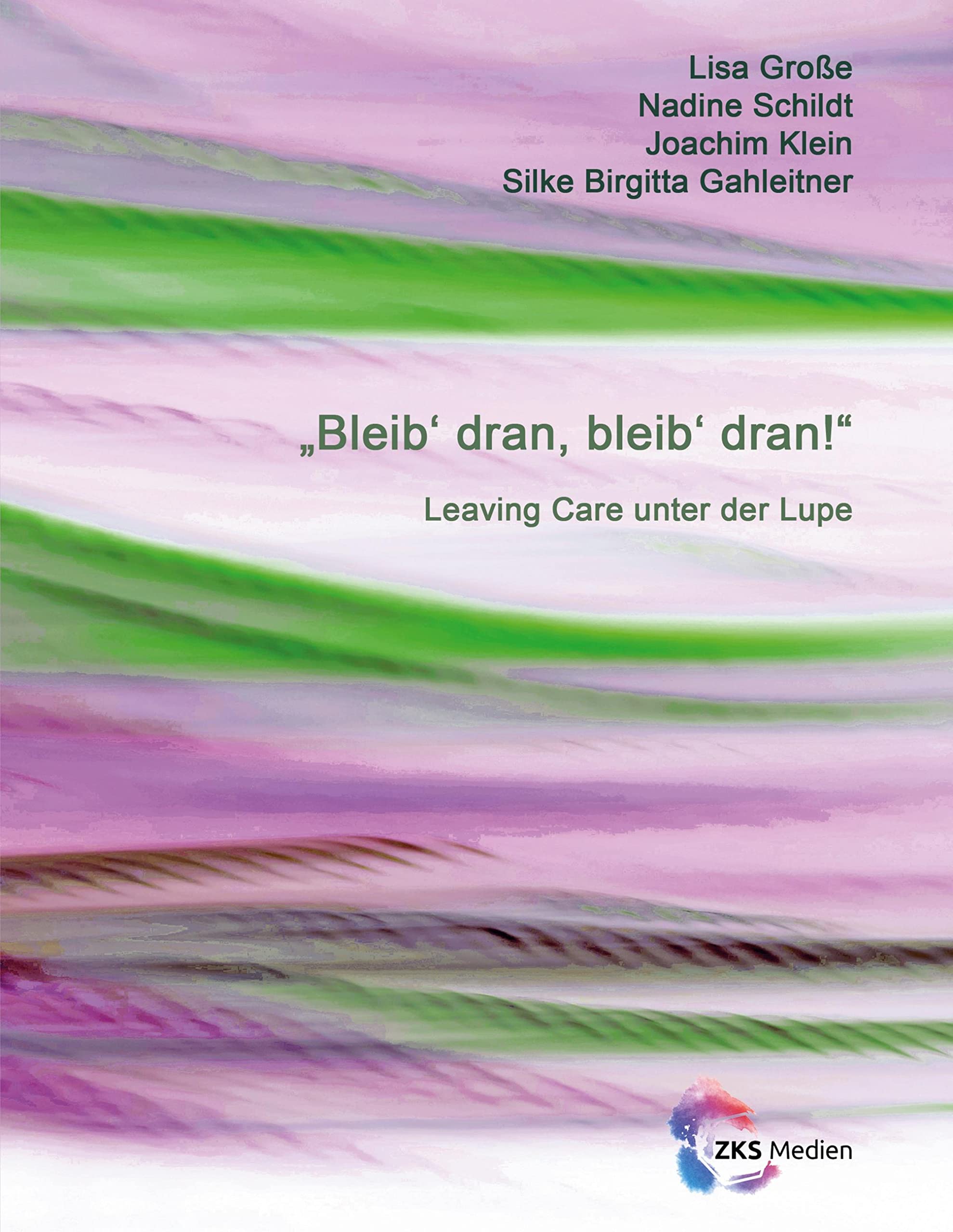 Bleib dran, bleib dran!: Leaving Care unter der Lupe Social Sciences