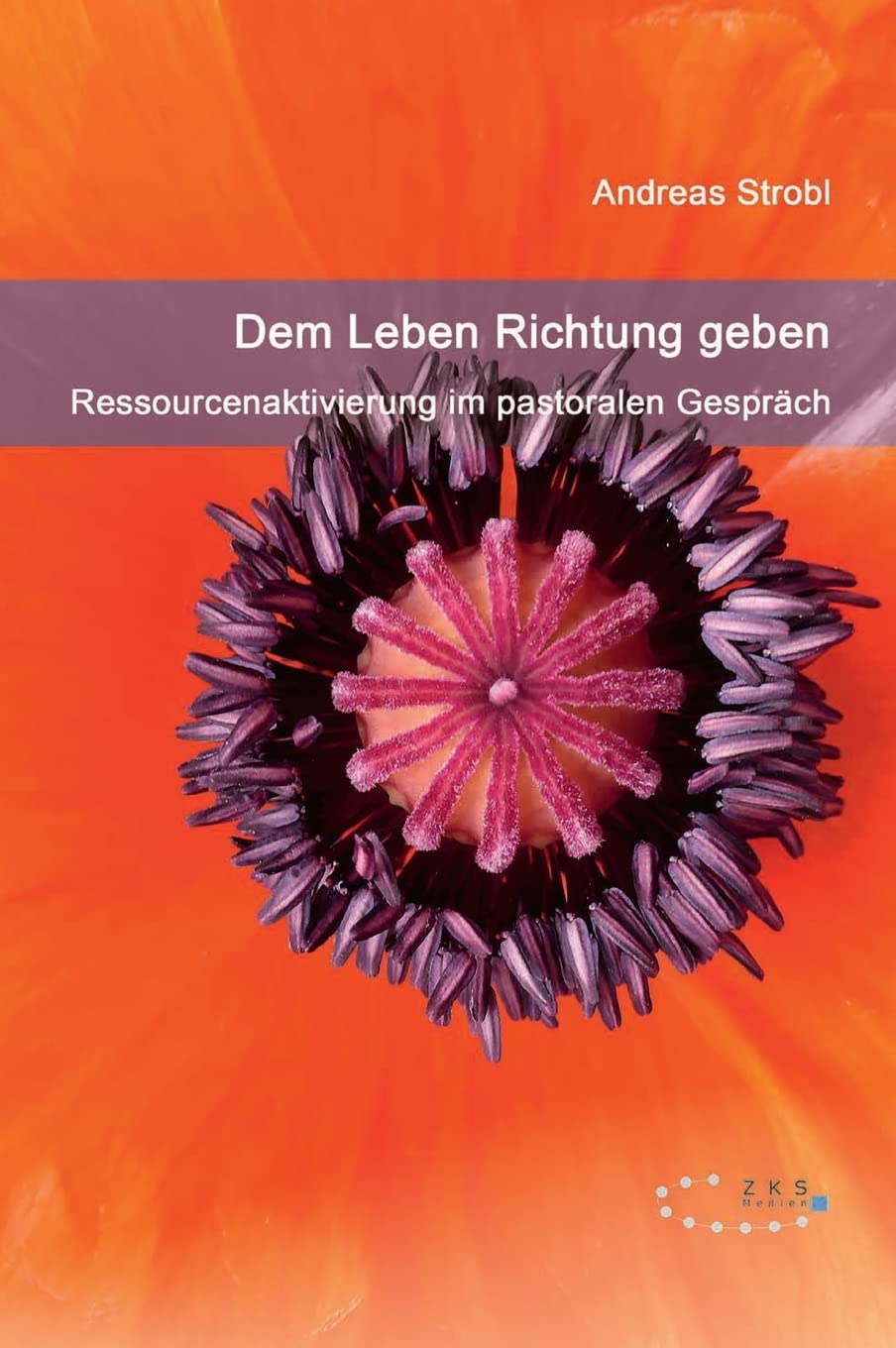 Dem Leben Richtung geben - Ressourcenaktivierung im pastoralen Gespräch Religion & Esotericism