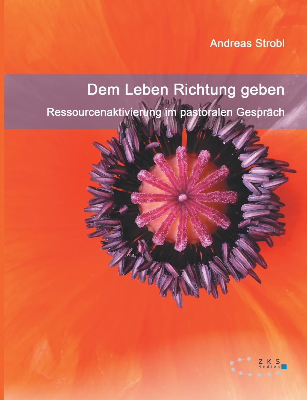 Dem Leben Richtung geben - Ressourcenaktivierung im pastoralen Gespräch Religion & Esotericism