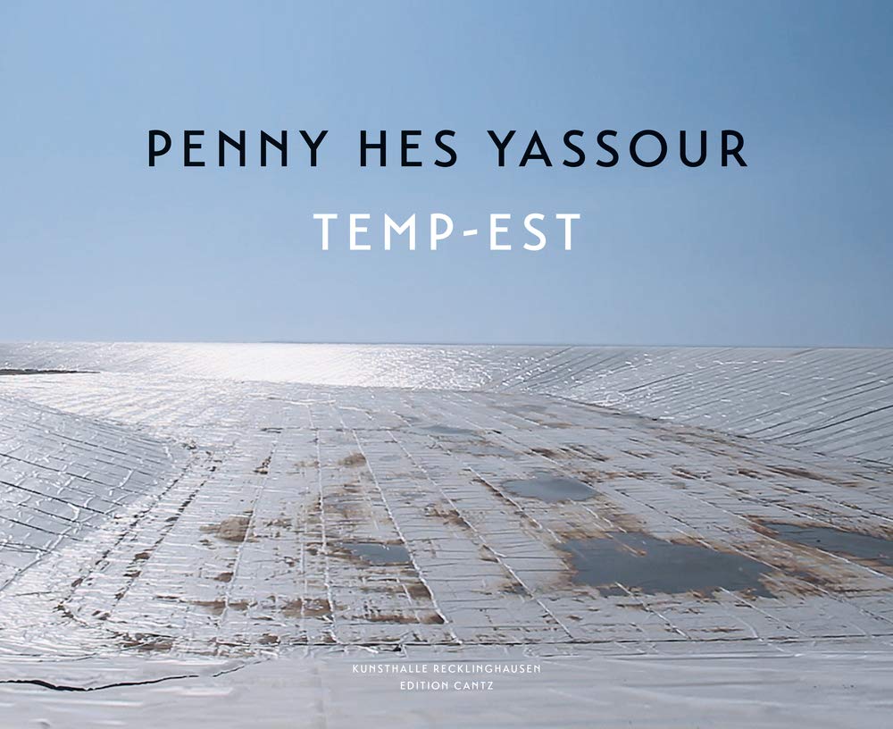 Penny Hes Yassour – Temp-Est book