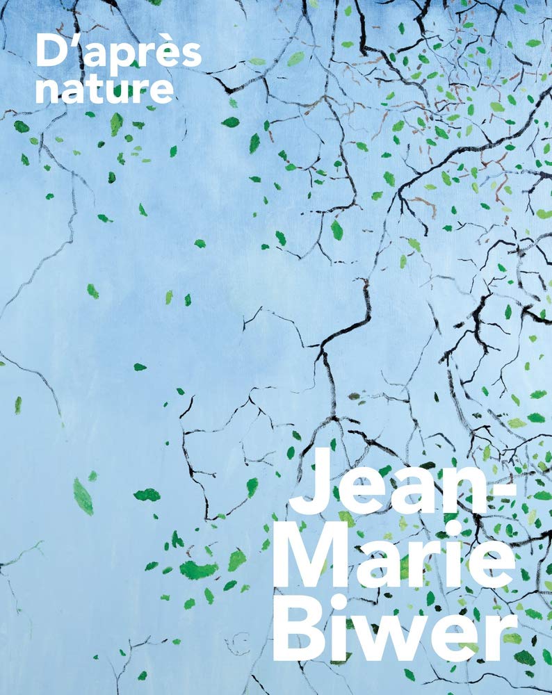 Jean-Marie Biwer D'aprEs nature /anglais book