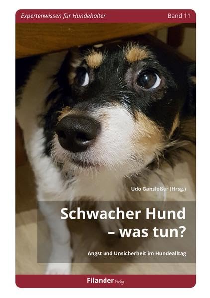 Schwacher Hund – Was tun? (Expertenwissen für Hundehalter) Pets