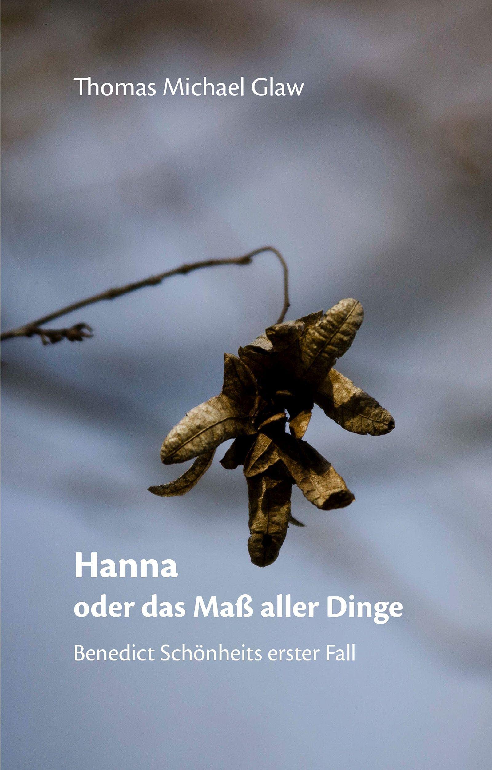 Hanna oder das Maß aller Dinge Contemporary literature Books