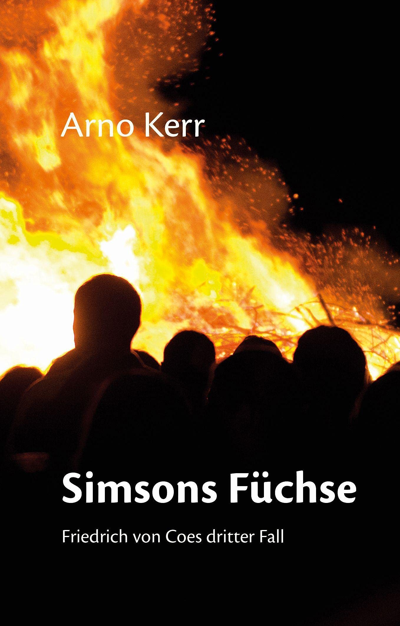 Simsons Füchse Contemporary literature Books