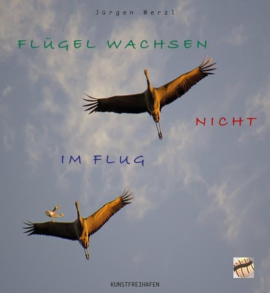 FLÜGEL WACHSEN NICHT IM FLUG Children's books