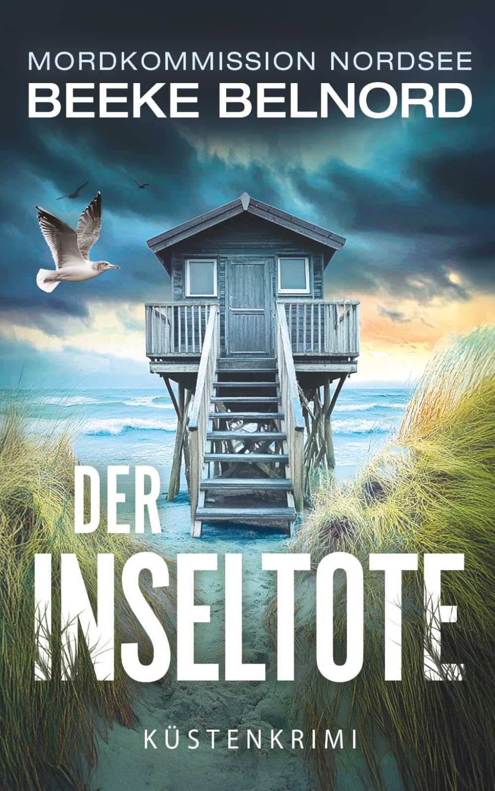 Der Inseltote: Küstenkrimi book