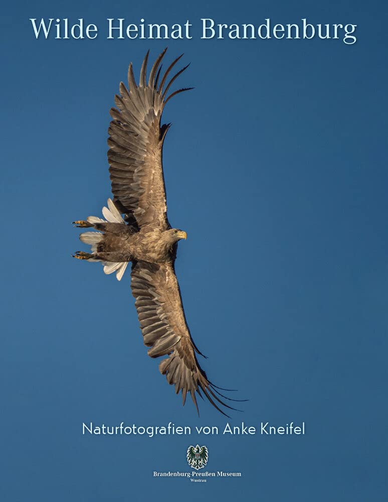 Wilde Heimat Brandenburg: Naturfotografien von Anke Kneifel (Schriftenreihe des Brandenburg-Preußen Museums: Ausstellungskataloge und Bücher) Photography