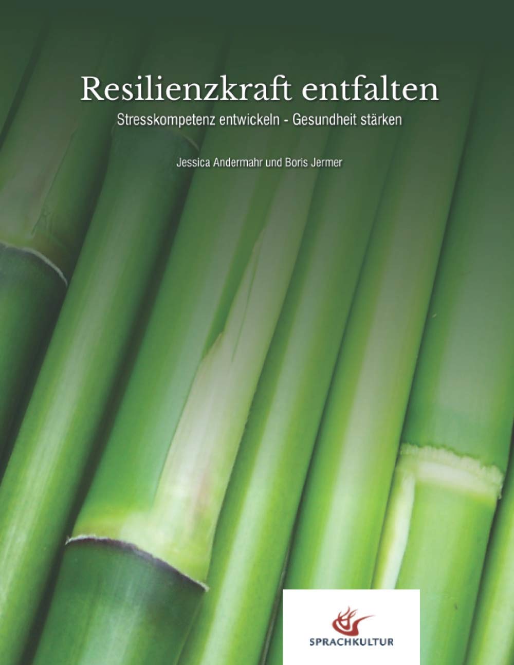 Resilienzkraft entfalten: Stresskompetenz entwickeln - Gesundheit stärken Medicine