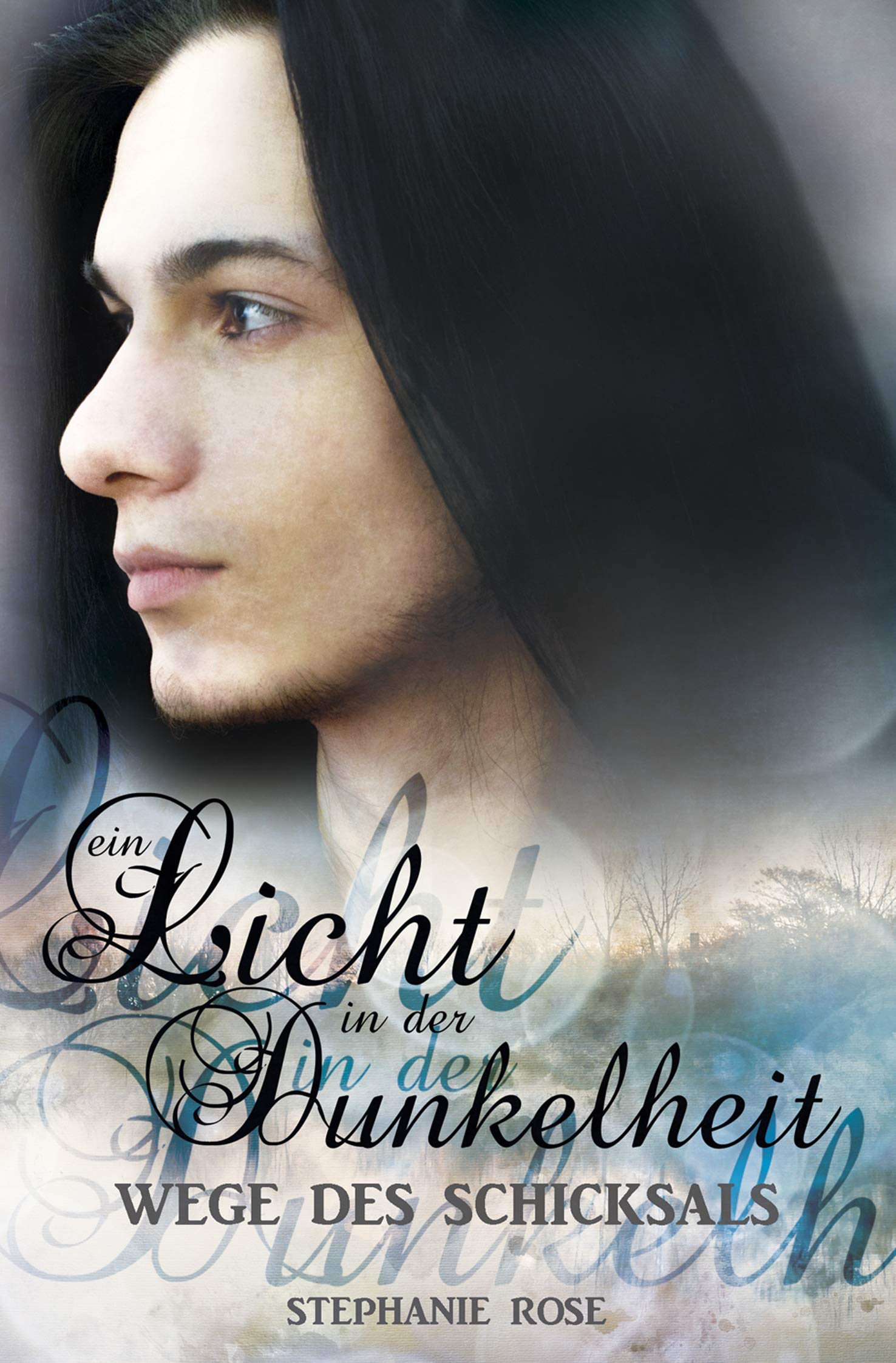 Ein Licht in der Dunkelkeit II: Wege des Schicksals (Ein Licht in der Dunkelheit) Contemporary literature