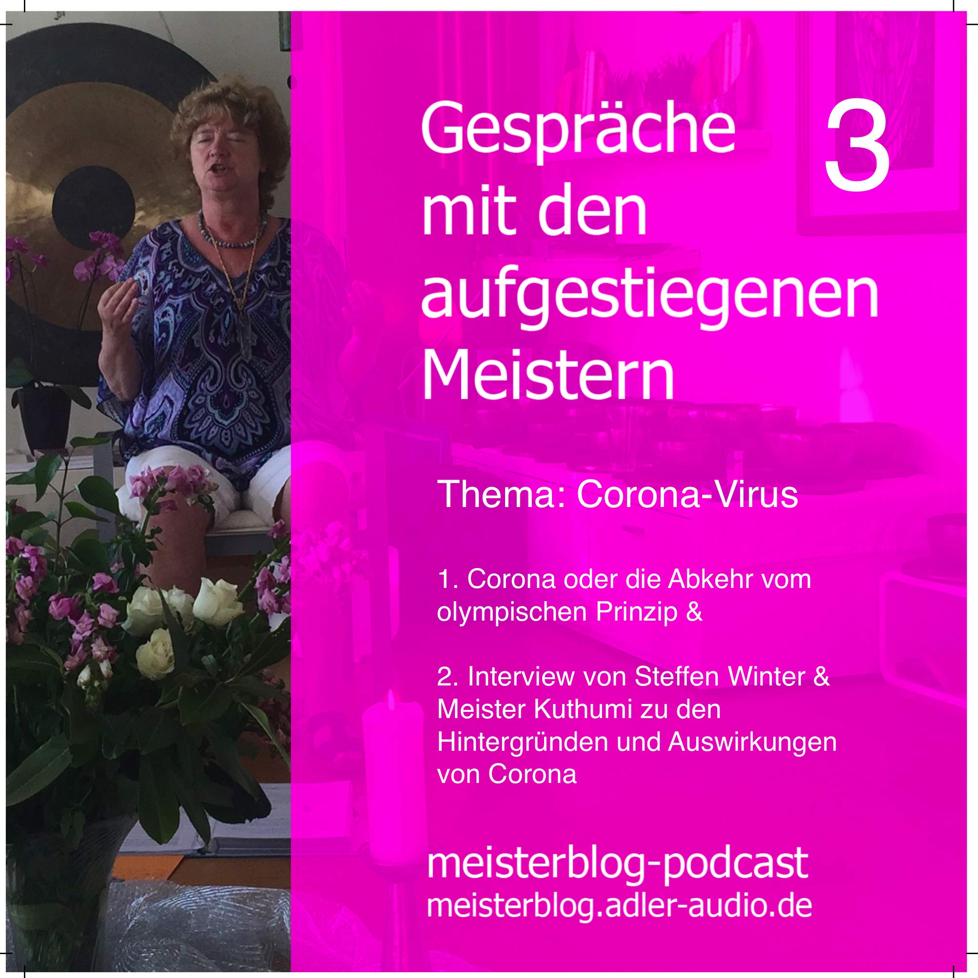 Meisterblog-Interview 3: Corona-Virus - 2 CDs Books