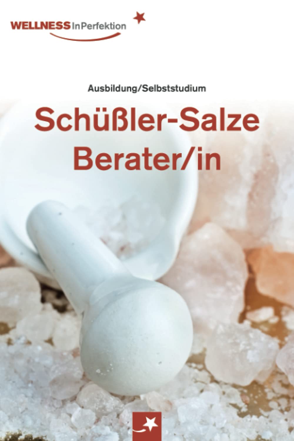 Ratgeber Schüßler-Salze-Berater/in: Professionelles Selbststudium mit vielen Bildern & Tipps: Motivierende Anleitung für interessierte Laien & werdende Berater, Coaches & Experten Health, Nutrition & Fitness