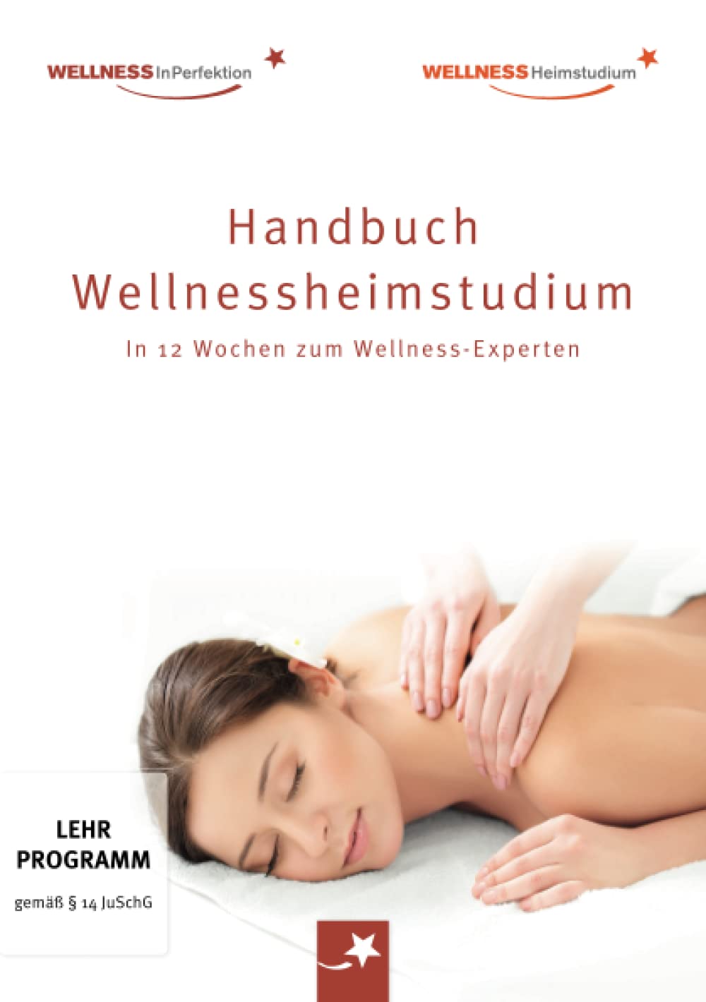 Handbuch Wellnessheimstudium: In 12 Wochen zum Wellness-Experten: Das Standardwerk für alle Massage-Interessierten auf dem Weg zum Traumberuf Health, Nutrition & Fitness