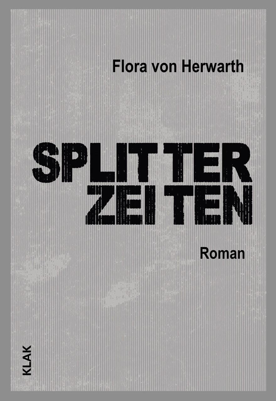 Splitterzeiten: Roman Contemporary literature