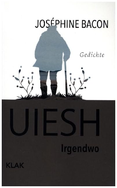 Uiesh. Irgendwo: Gedichte Contemporary literature