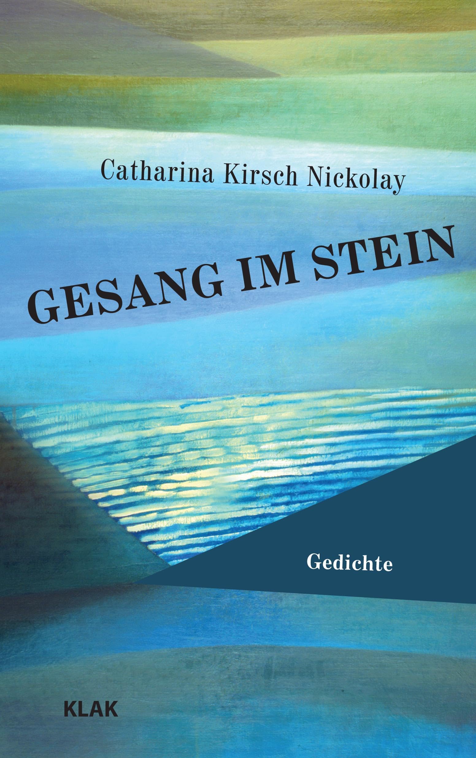 Gesang im Stein Contemporary literature Books
