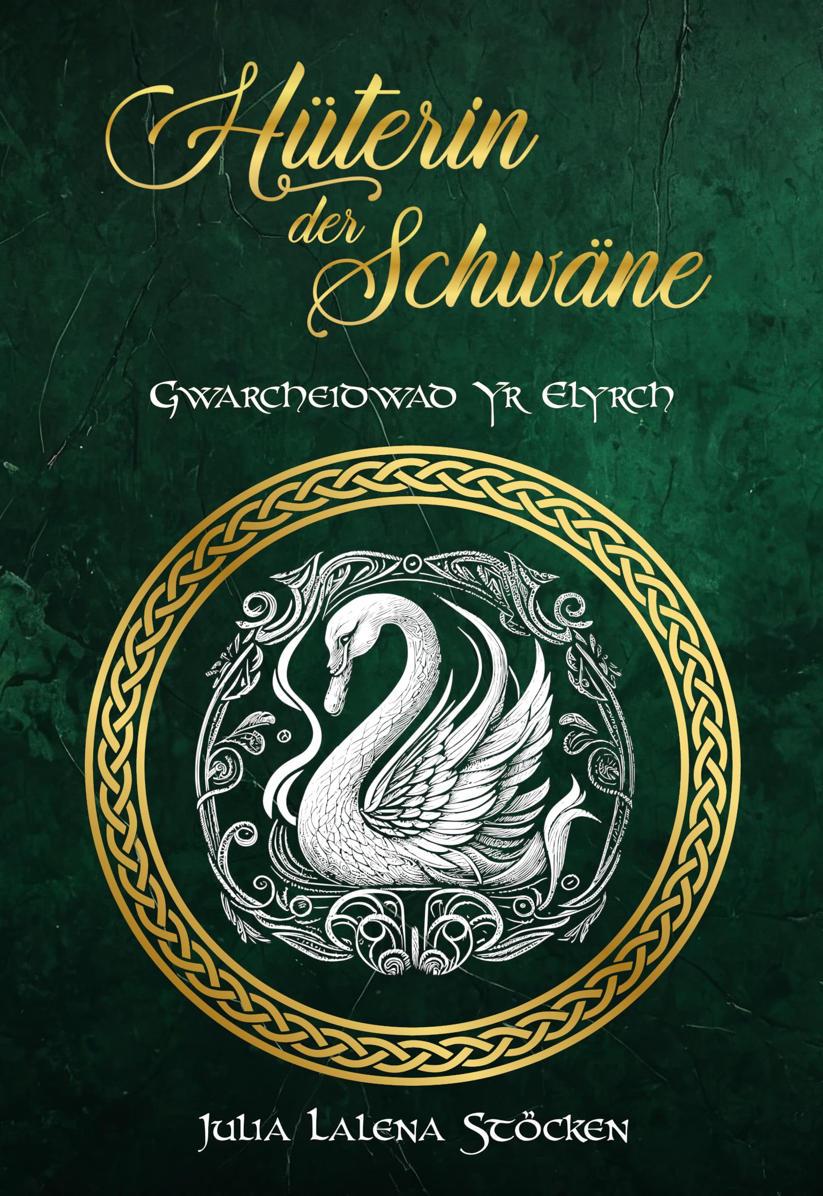 Hüterin der Schwäne: Gwarcheidwad Yr Elyrch Historical Fiction