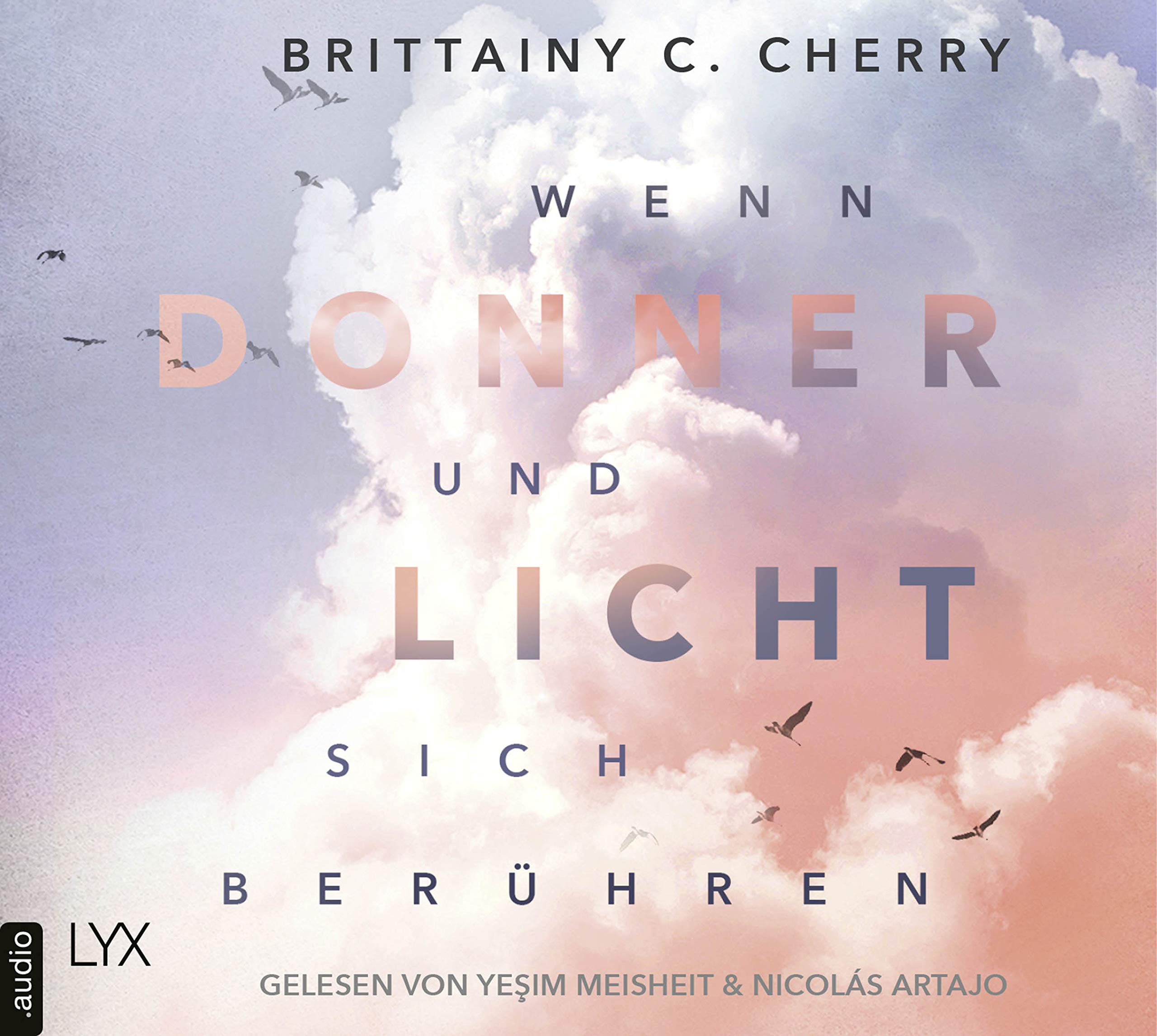 Wenn Donner und Licht sich berühren Contemporary literature