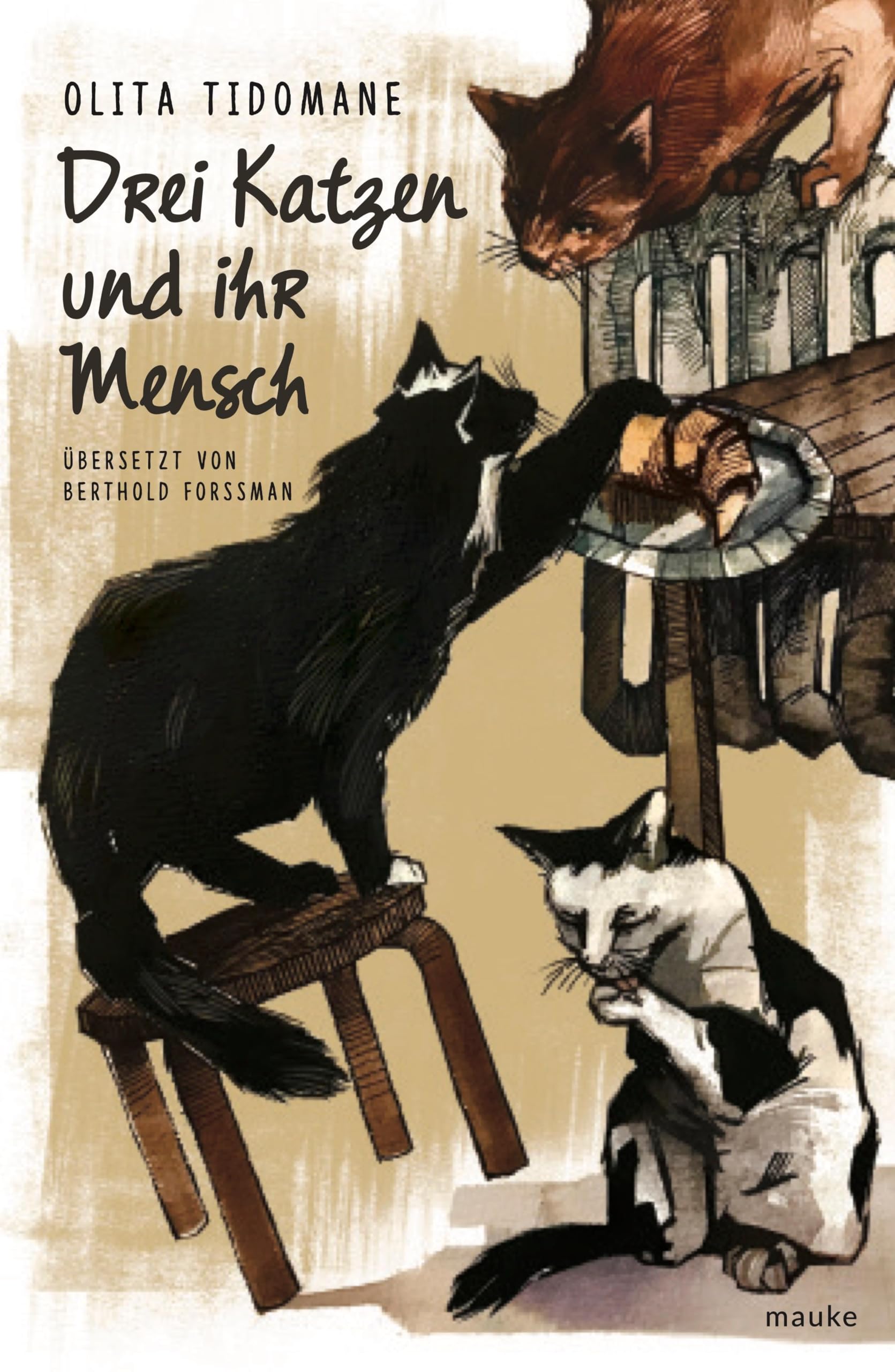 Drei Katzen und ihr Mensch Humour & Satire