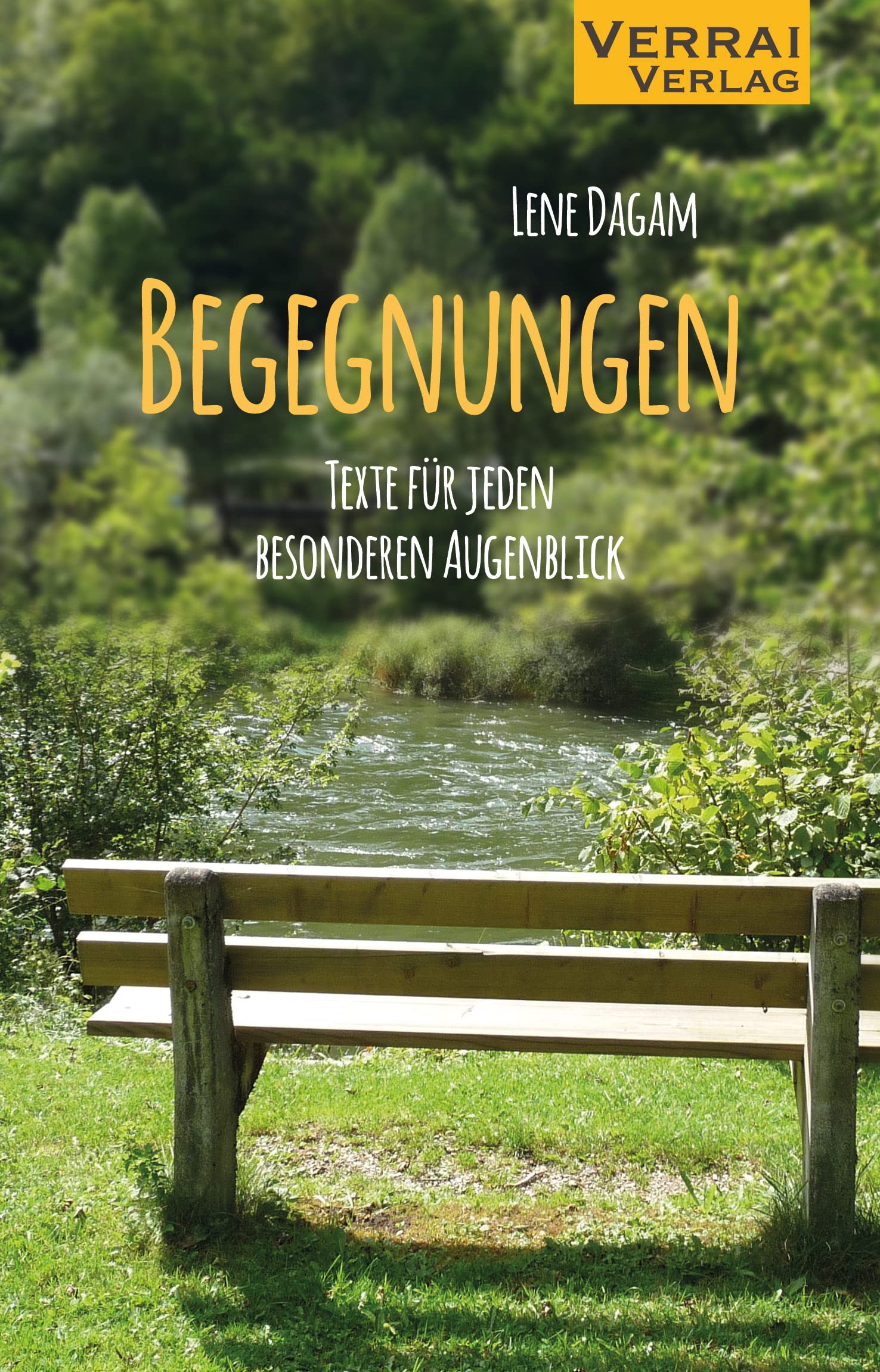 Begegnungen - Texte für jeden besonderen Augenblick book