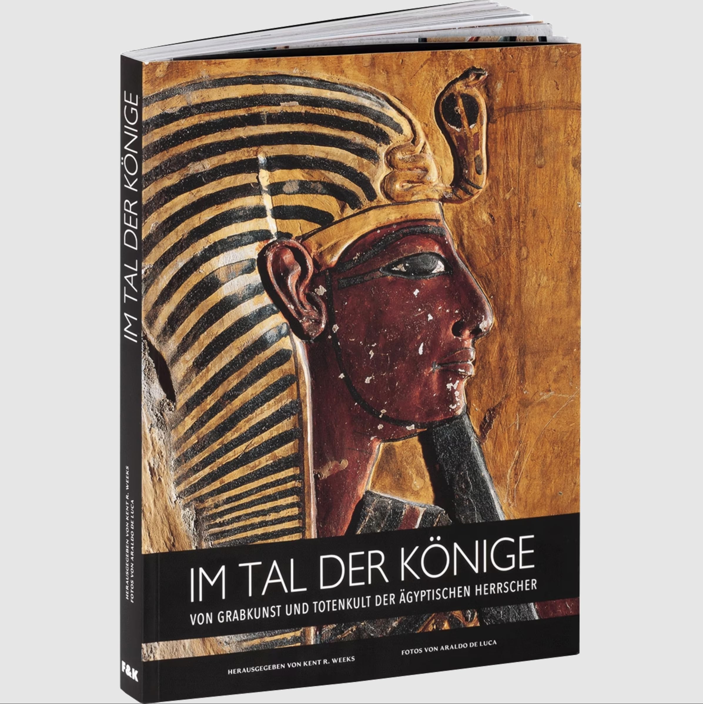 Im Tal der Könige. Von Grabkunst und Totenkult der ägyptischen Herrscher. Books