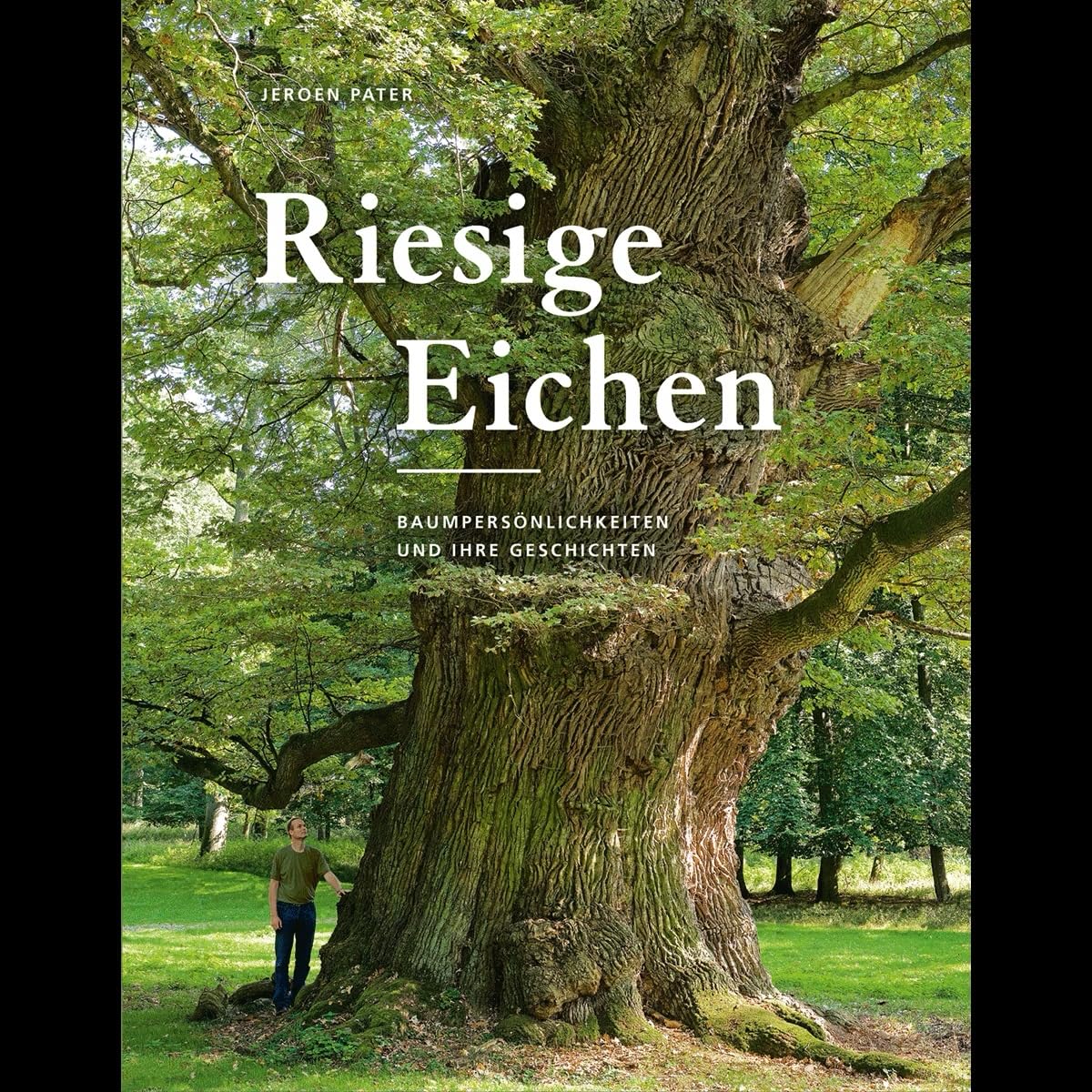Riesige Eichen: Baumpersönlichkeiten und ihre Geschichten Architecture