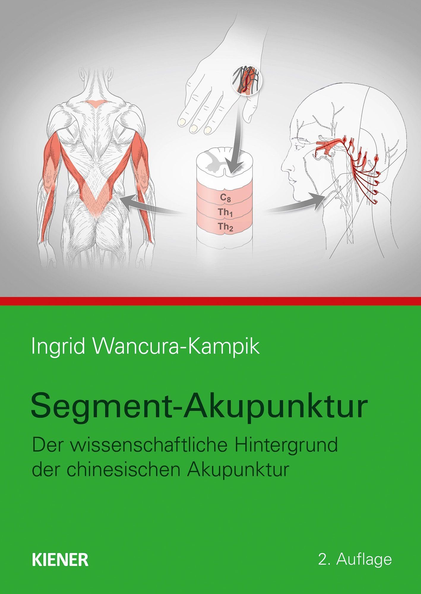 Segment-Akupunktur Medicine