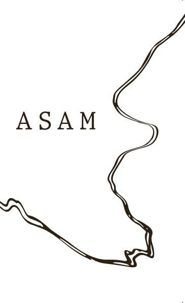 Asam: Texte aus zwei Jahrzehnten - Asam, Markus book