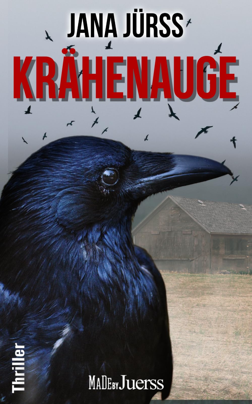 Krähenauge (Thriller von Jana Jürß) Horror & Mystery