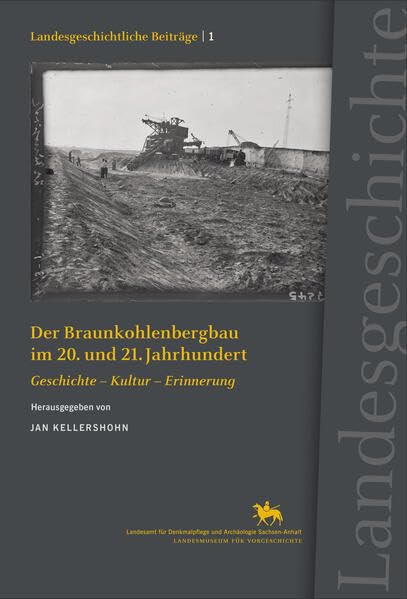 Der Braunkohlenbergbau im 20. und 21. Jahrhundert. Geschichte - Kultur - Erinnerung (Landesgeschichtliche Beiträge 1) Film, Art & Culture