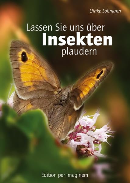 Lassen Sie uns über Insekten plaudern Photography
