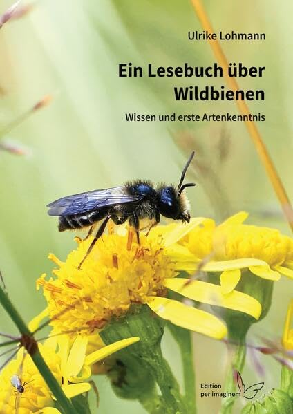 Ein Lesebuch über Wildbienen: Wissen und erste Artenkenntnis Non-fiction