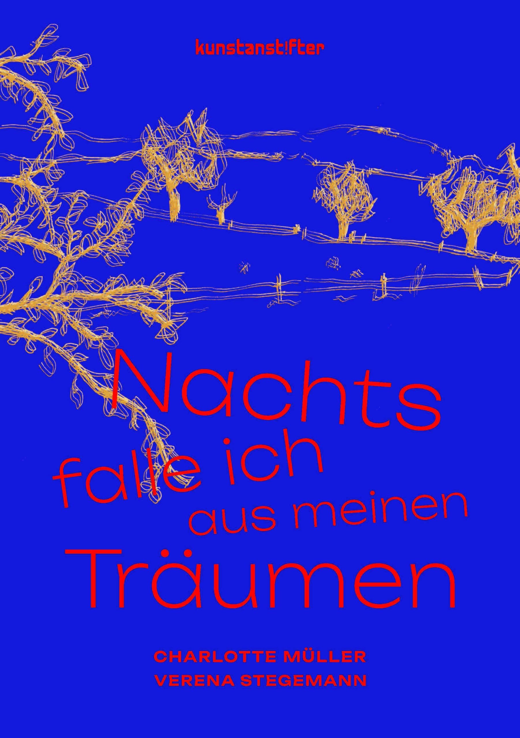 Nachts falle ich aus meinen Träumen Contemporary literature