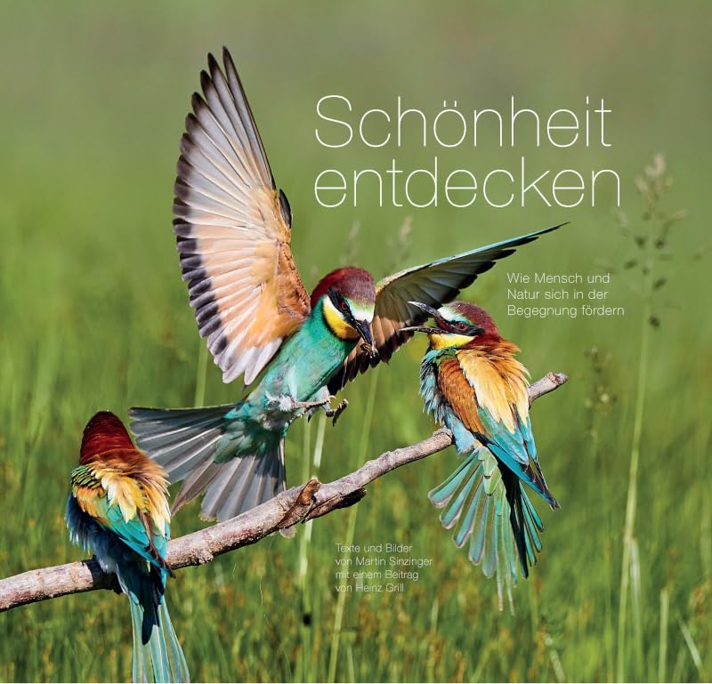 Product Image: Schönheit entdecken