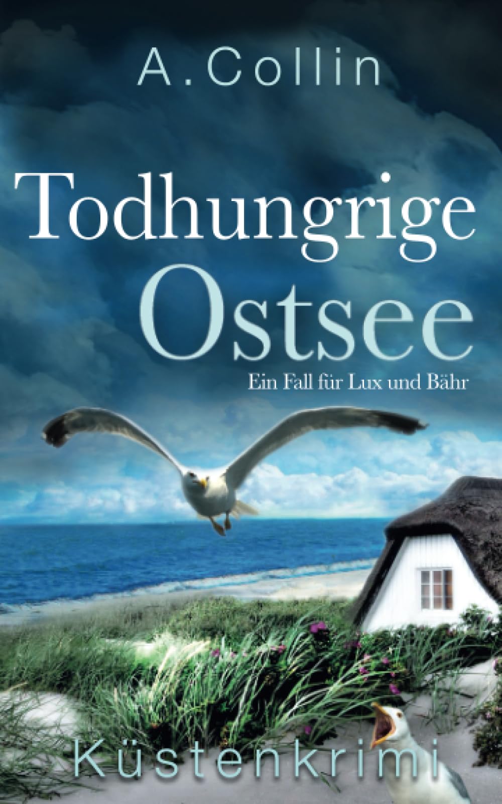 Todhungrige Ostsee: Küstenkrimi (Ein Fall für Lux und Bähr 6) (Die Ostseekommissare Lux und Bähr, Band 6) Humour & Satire