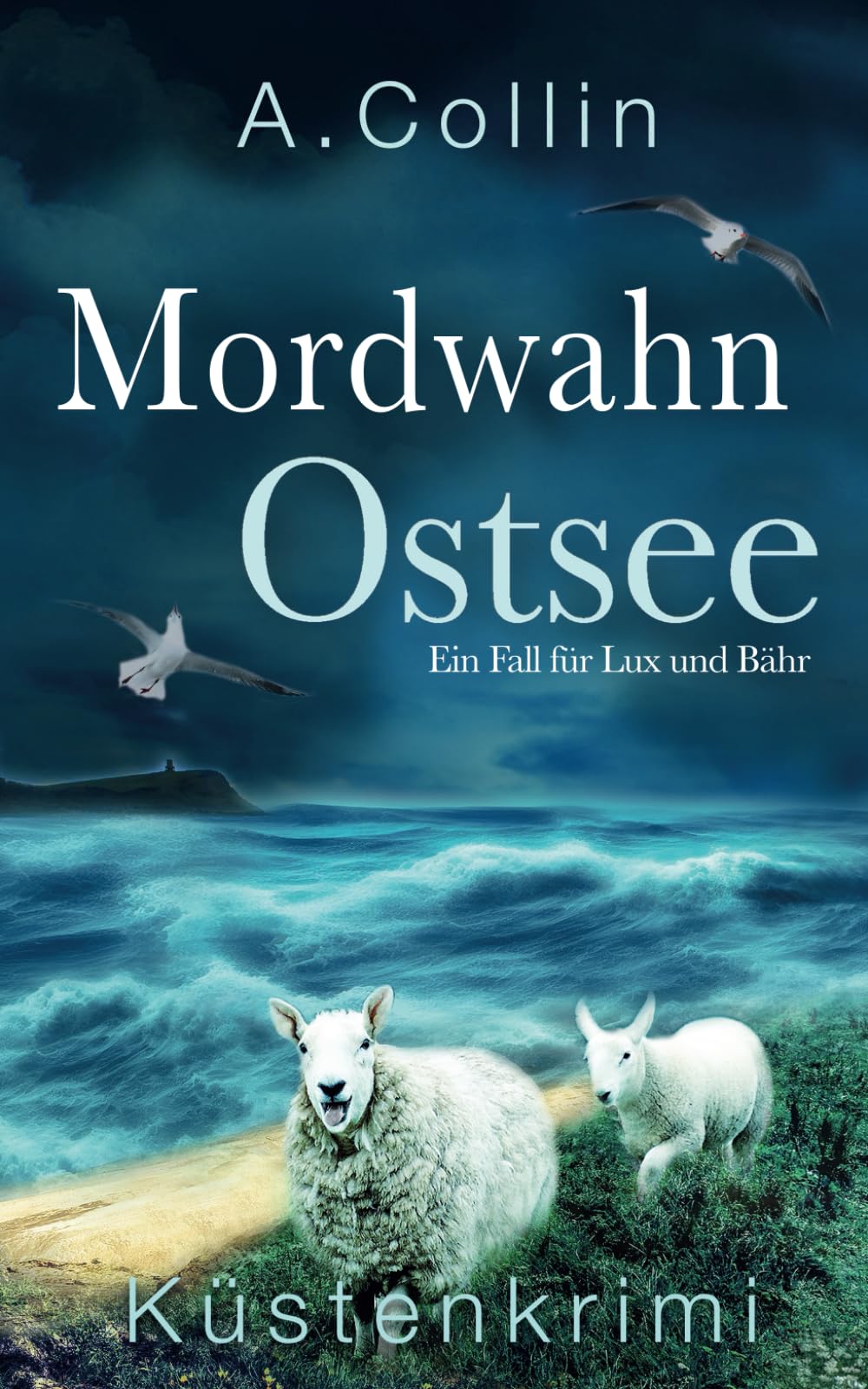 Mordwahn Ostsee: Küstenkrimi (Ein Fall für Lux und Bähr 8) (Die Ostseekommissare Lux und Bähr, Band 8) Action & Adventure
