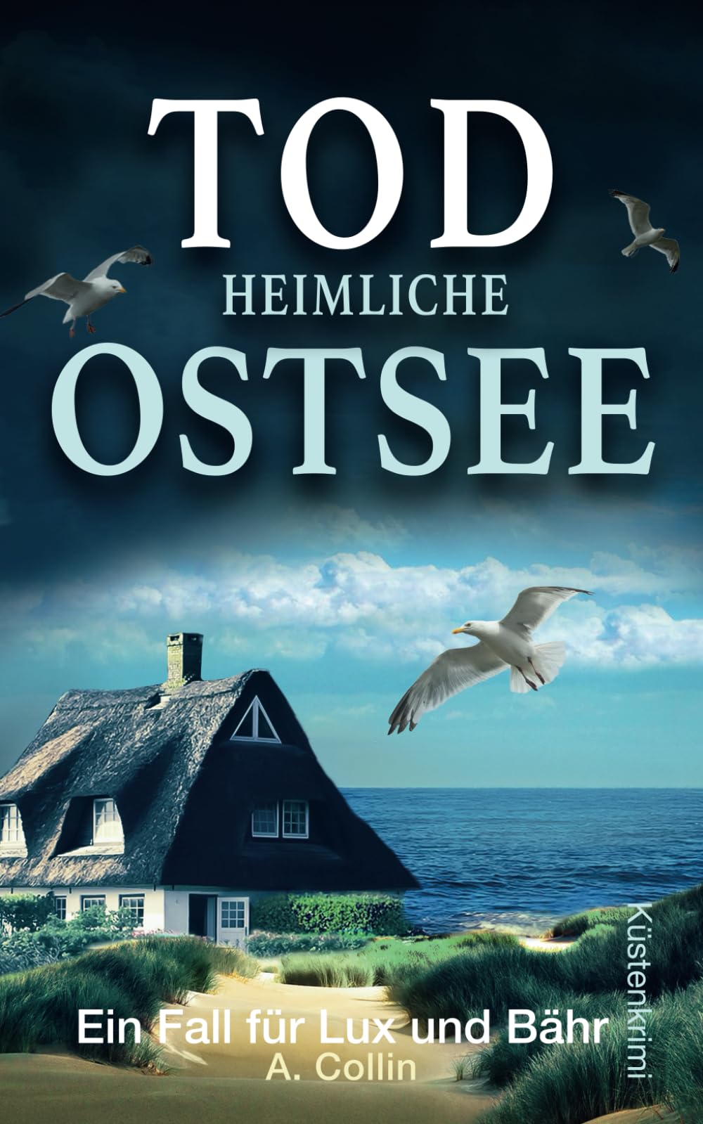Todheimliche Ostsee: Küstenkrimi (Ein Fall für Lux und Bähr 9) (Die Ostseekommissare Lux und Bähr) book
